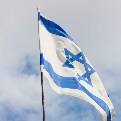 photo-1583611219326-eb5a5204cd32